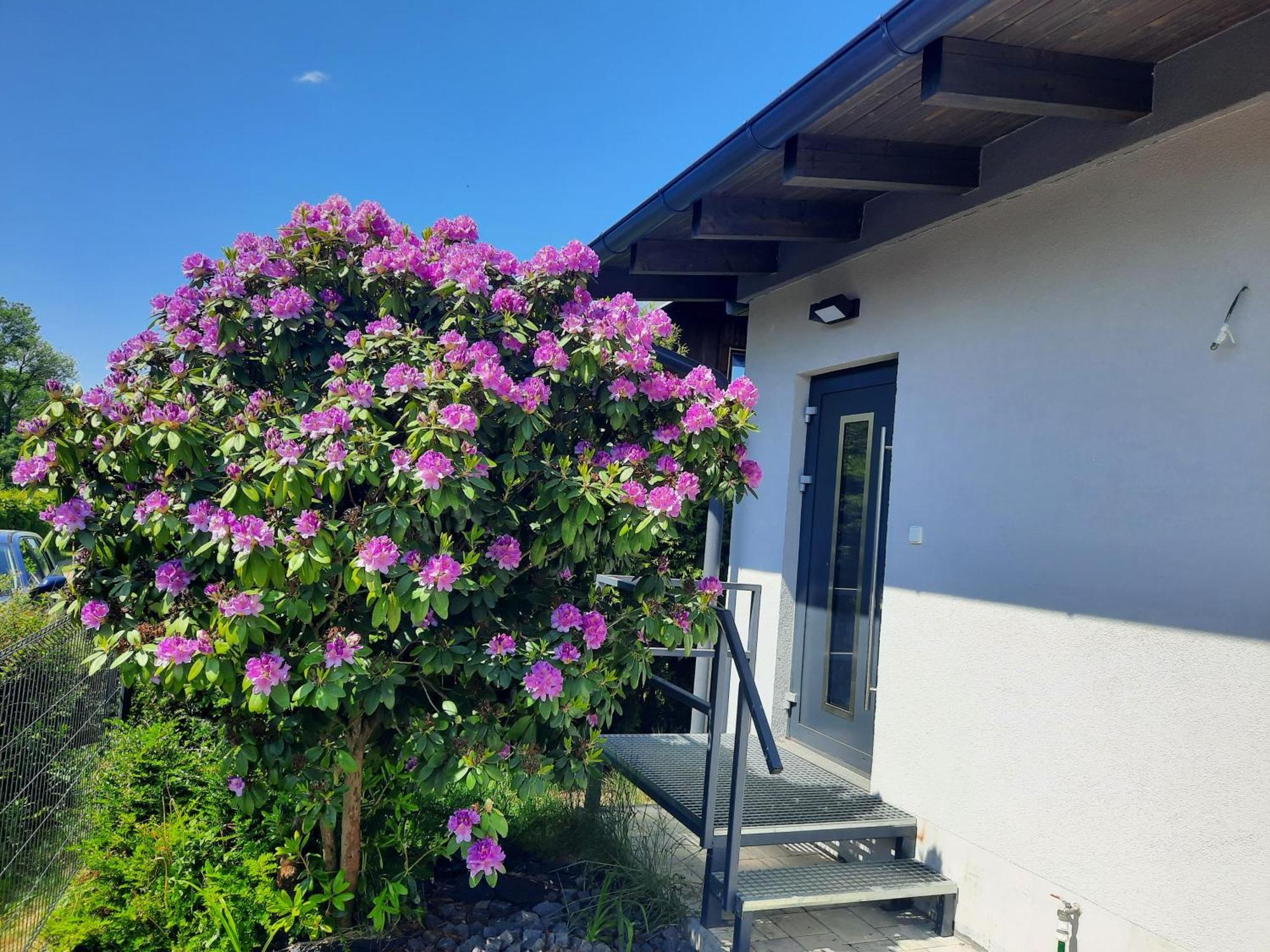 Bungalov Na Brehu Labe S Vlastnim Molem Pardubice Dış mekan fotoğraf
